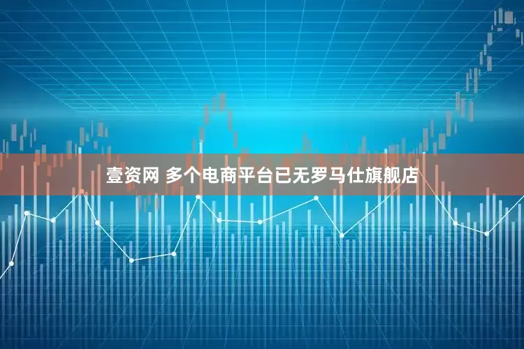 壹资网 多个电商平台已无罗马仕旗舰店