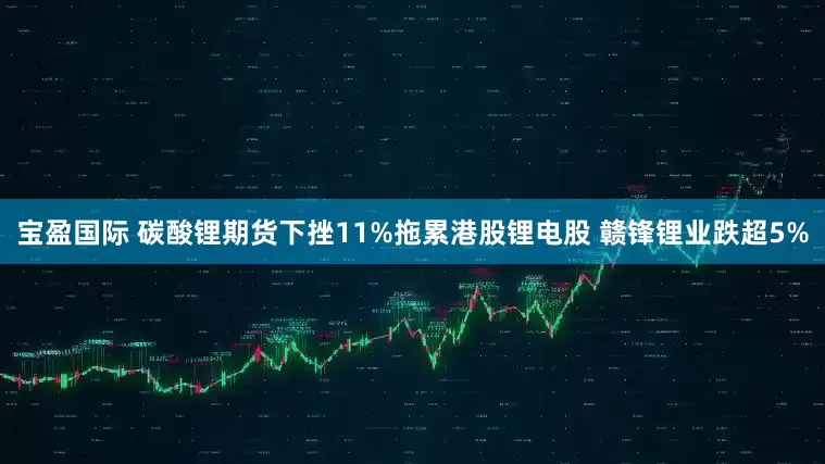 宝盈国际 碳酸锂期货下挫11%拖累港股锂电股 赣锋锂业跌超5%